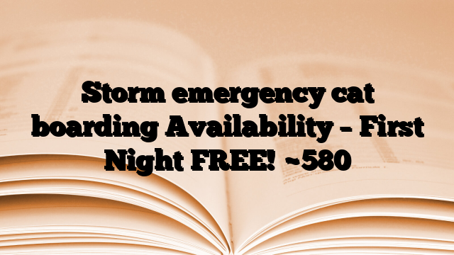 Storm emergency cat boarding Availability – First Night FREE!
