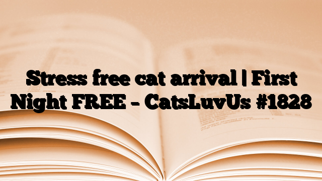 Stress free cat arrival | First Night FREE – CatsLuvUs