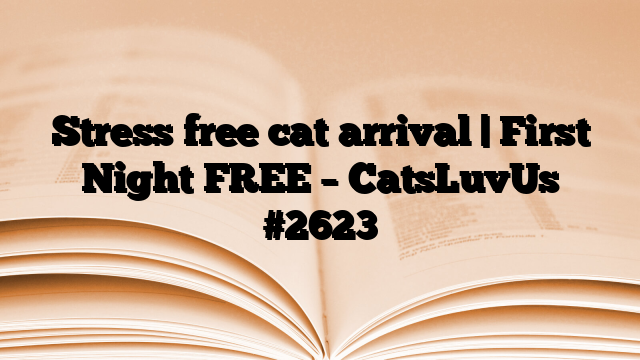 Stress free cat arrival | First Night FREE – CatsLuvUs