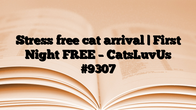 Stress free cat arrival | First Night FREE – CatsLuvUs