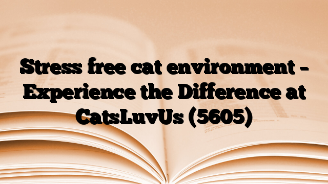 Stress free cat environment – Experience the Difference at CatsLuvUs