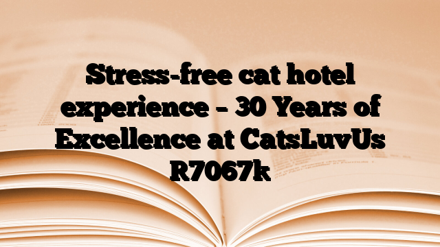 Stress-free cat hotel experience – 30 Years of Excellence at CatsLuvUs