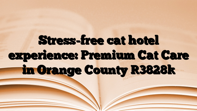 Stress-free cat hotel experience: Premium Cat Care in Orange County