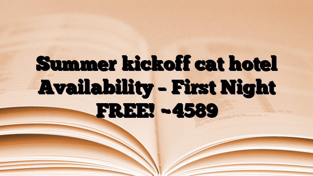 Summer kickoff cat hotel Availability – First Night FREE!