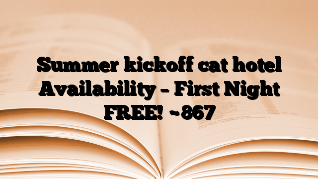 Summer kickoff cat hotel Availability – First Night FREE!