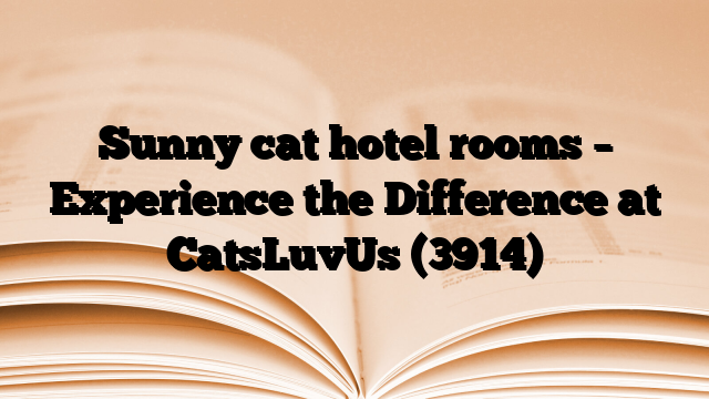 Sunny cat hotel rooms – Experience the Difference at CatsLuvUs