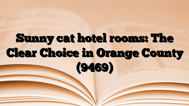 Sunny cat hotel rooms: The Clear Choice in Orange County
