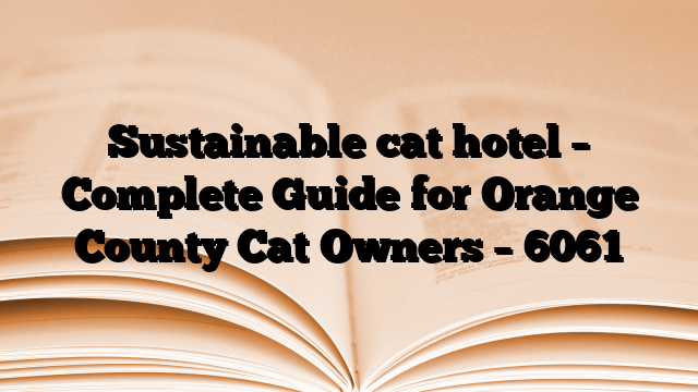 Sustainable cat hotel – Complete Guide for Orange County Cat Owners