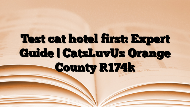 Test cat hotel first: Expert Guide | CatsLuvUs Orange County