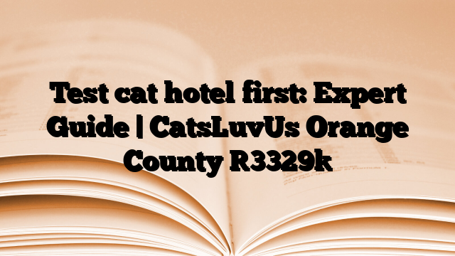 Test cat hotel first: Expert Guide | CatsLuvUs Orange County