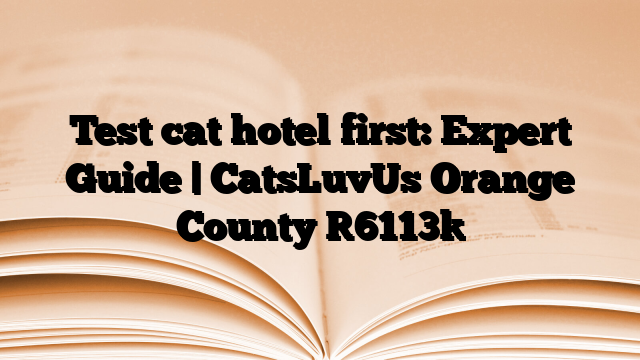 Test cat hotel first: Expert Guide | CatsLuvUs Orange County
