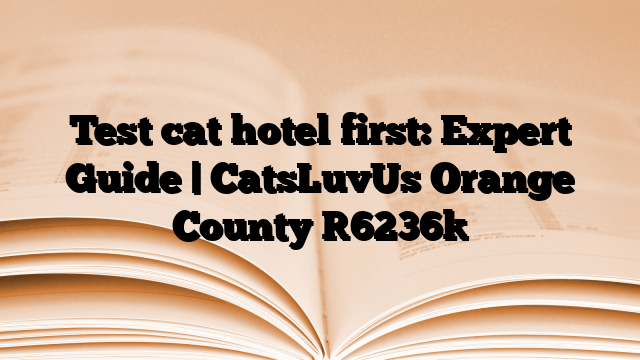Test cat hotel first: Expert Guide | CatsLuvUs Orange County