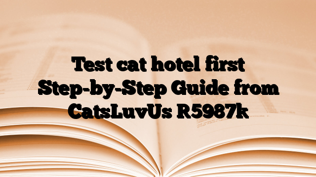 Test cat hotel first Step-by-Step Guide from CatsLuvUs