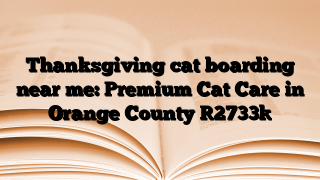 Thanksgiving cat boarding near me: Premium Cat Care in Orange County