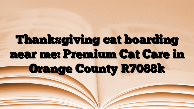 Thanksgiving cat boarding near me: Premium Cat Care in Orange County