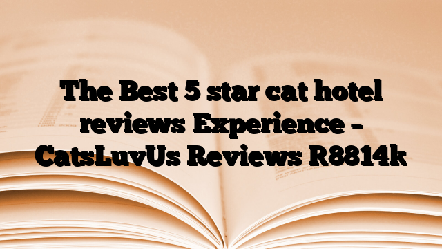 The Best 5 star cat hotel reviews Experience – CatsLuvUs Reviews