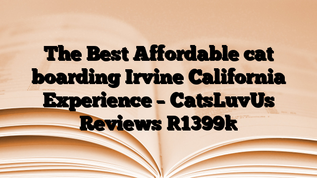 The Best Affordable cat boarding Irvine California Experience – CatsLuvUs Reviews