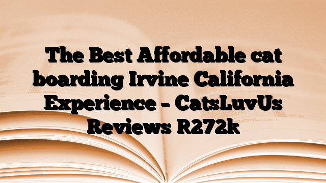 The Best Affordable cat boarding Irvine California Experience – CatsLuvUs Reviews