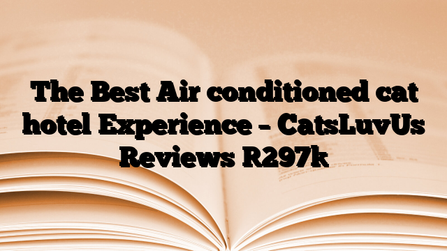 The Best Air conditioned cat hotel Experience – CatsLuvUs Reviews