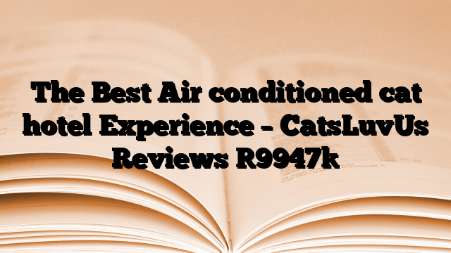 The Best Air conditioned cat hotel Experience – CatsLuvUs Reviews