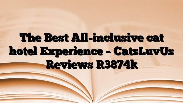 The Best All-inclusive cat hotel Experience – CatsLuvUs Reviews