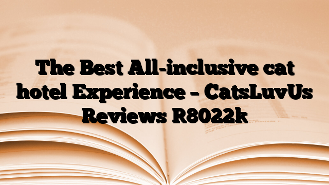 The Best All-inclusive cat hotel Experience – CatsLuvUs Reviews
