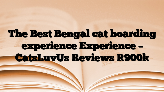The Best Bengal cat boarding experience Experience – CatsLuvUs Reviews