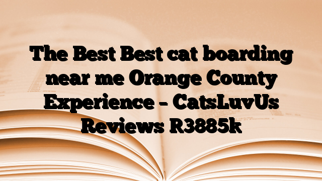 The Best Best cat boarding near me Orange County Experience – CatsLuvUs Reviews
