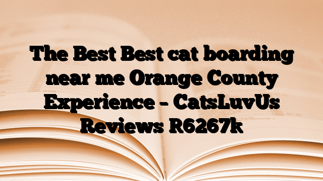 The Best Best cat boarding near me Orange County Experience – CatsLuvUs Reviews