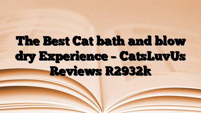The Best Cat bath and blow dry Experience – CatsLuvUs Reviews