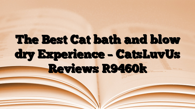The Best Cat bath and blow dry Experience – CatsLuvUs Reviews