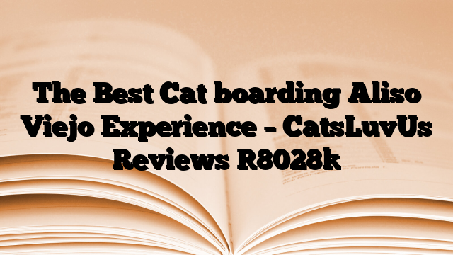 The Best Cat boarding Aliso Viejo Experience – CatsLuvUs Reviews