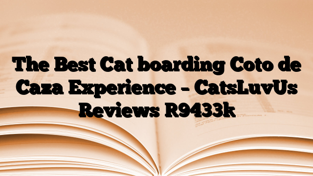 The Best Cat boarding Coto de Caza Experience – CatsLuvUs Reviews