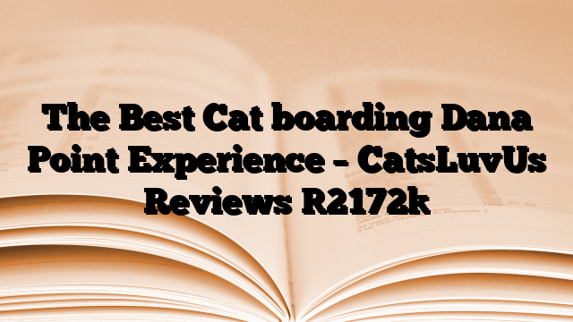 The Best Cat boarding Dana Point Experience – CatsLuvUs Reviews