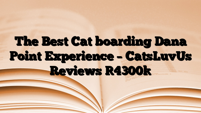 The Best Cat boarding Dana Point Experience – CatsLuvUs Reviews