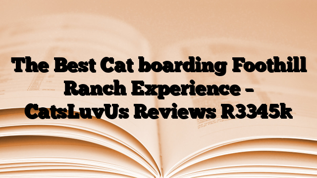 The Best Cat boarding Foothill Ranch Experience – CatsLuvUs Reviews