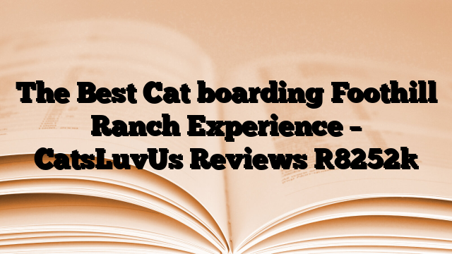 The Best Cat boarding Foothill Ranch Experience – CatsLuvUs Reviews