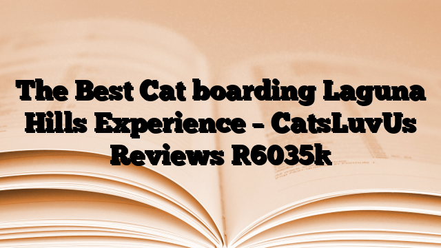The Best Cat boarding Laguna Hills Experience – CatsLuvUs Reviews
