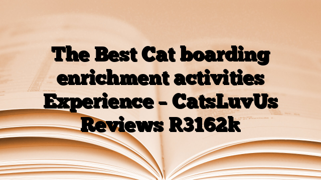 The Best Cat boarding enrichment activities Experience – CatsLuvUs Reviews