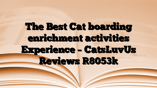 The Best Cat boarding enrichment activities Experience – CatsLuvUs Reviews