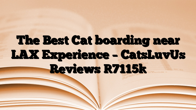 The Best Cat boarding near LAX Experience – CatsLuvUs Reviews