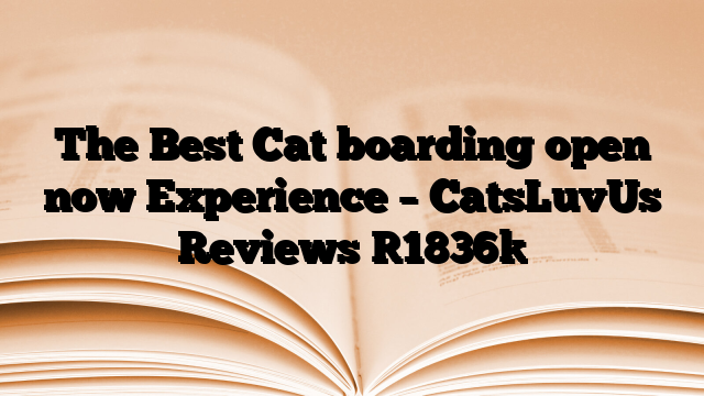 The Best Cat boarding open now Experience – CatsLuvUs Reviews