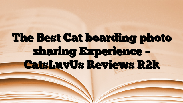 The Best Cat boarding photo sharing Experience – CatsLuvUs Reviews [2]