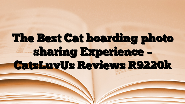 The Best Cat boarding photo sharing Experience – CatsLuvUs Reviews