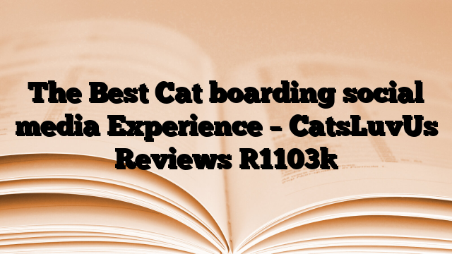 The Best Cat boarding social media Experience – CatsLuvUs Reviews