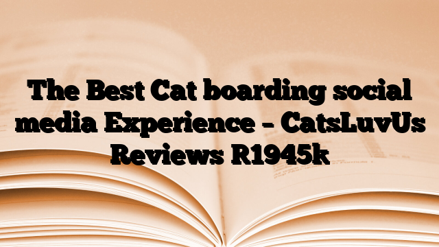 The Best Cat boarding social media Experience – CatsLuvUs Reviews