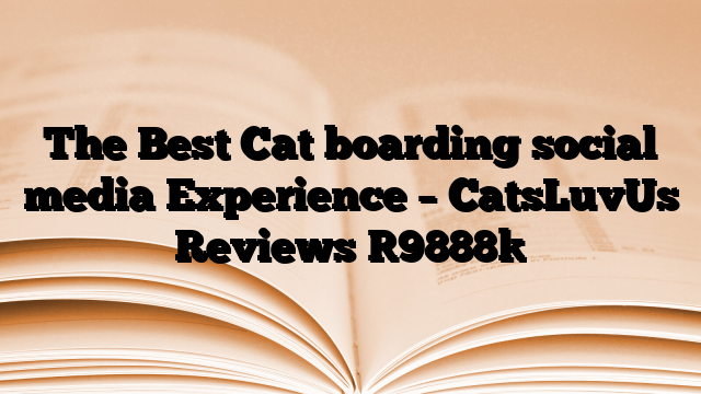 The Best Cat boarding social media Experience – CatsLuvUs Reviews