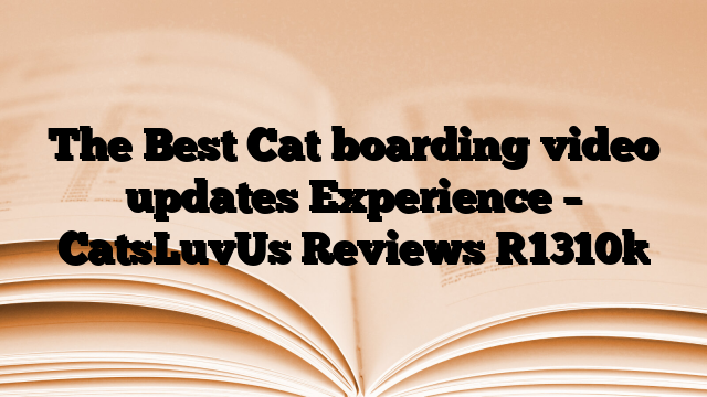 The Best Cat boarding video updates Experience – CatsLuvUs Reviews