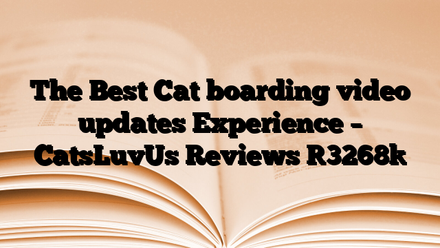 The Best Cat boarding video updates Experience – CatsLuvUs Reviews