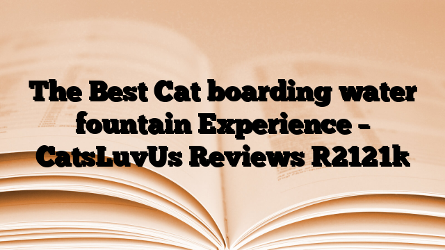 The Best Cat boarding water fountain Experience – CatsLuvUs Reviews